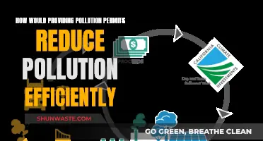 Pollution Permits: Efficiently Reducing Pollution with Regulation