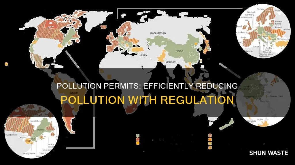 how would providing pollution permits reduce pollution efficiently