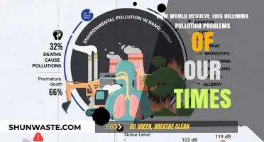 Solving Pollution Problems: Our Times, Our Future