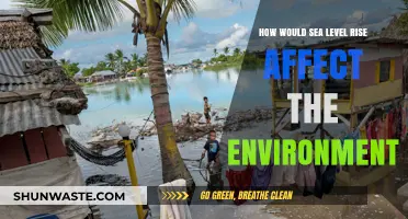 Rising Seas: Environmental Impacts and Ecosystem Disruptions Explained