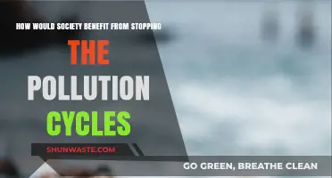 A Greener Future: Breaking Free from Pollution's Grasp