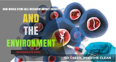 Stem Cell Research: Societal Benefits and Environmental Implications Explored