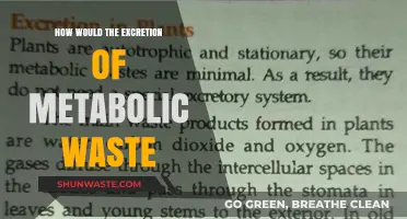 Efficient Metabolic Waste Excretion: Unlocking Optimal Health and Body Function