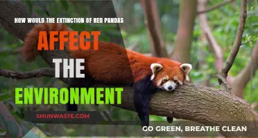 Red Panda Extinction: Environmental Impacts and Ecosystem Disruption Explained