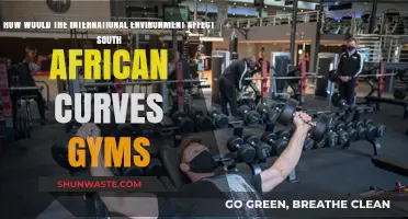 Global Trends Shaping South Africa's Curves Gyms: Challenges and Opportunities
