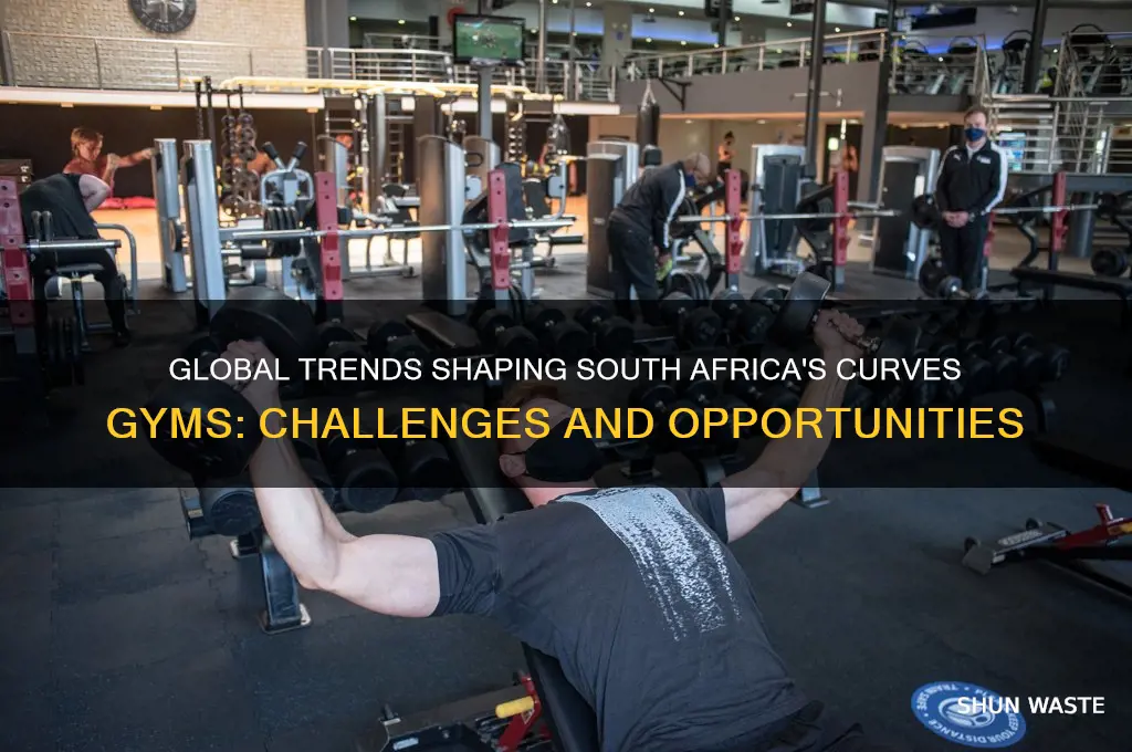 how would the international environment affect south african curves gyms