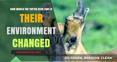 Tufted Deer Survival: Adapting to Environmental Shifts and Challenges