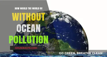 A World Without Ocean Pollution: The Future We Need
