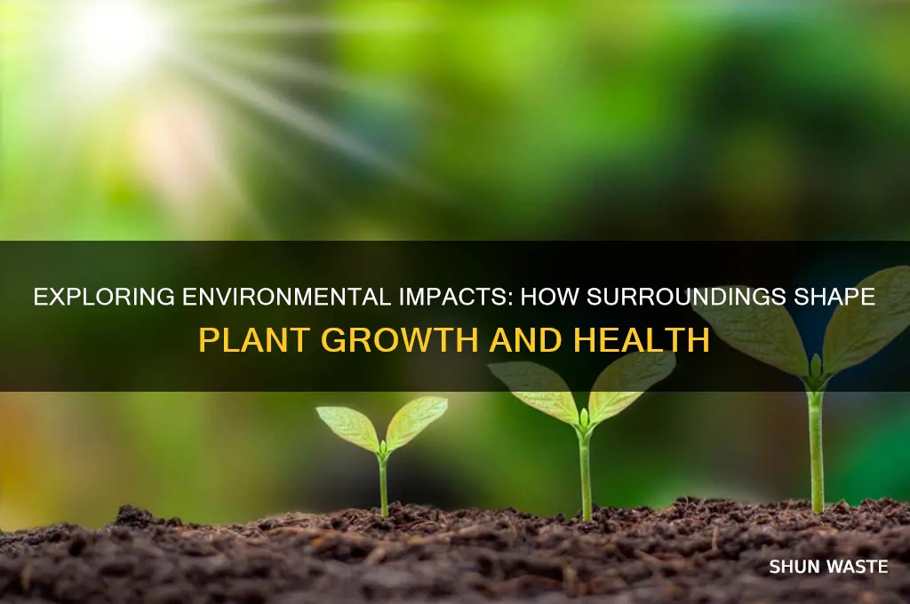 how would this environment affect the plants