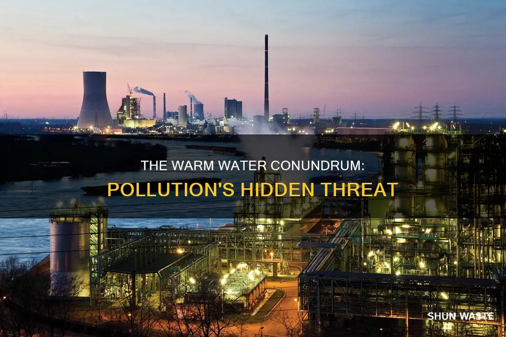 how would warm water act as a pollutant
