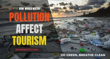 Water Pollution's Impact on Tourism: A Concern for All