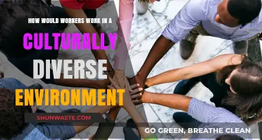 Navigating Cultural Diversity: Strategies for Effective Workplace Collaboration