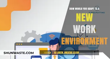 Mastering New Workplaces: Strategies to Seamlessly Adapt and Thrive