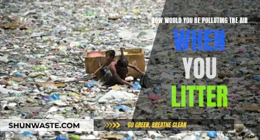 Littering: How It Pollutes the Air and Our Environment