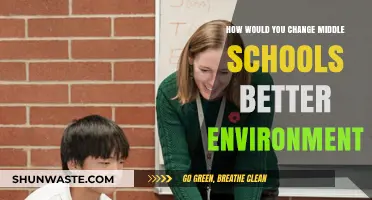 Transforming Middle Schools: Strategies for a Better Learning Environment