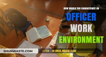 Understanding the Unique Dynamics of an Officer's Work Environment