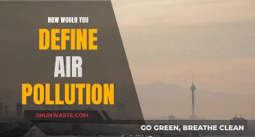 Air Pollution: Defining the Invisible Threat