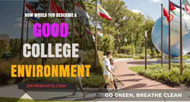 Fostering Growth: Key Elements of an Ideal College Environment