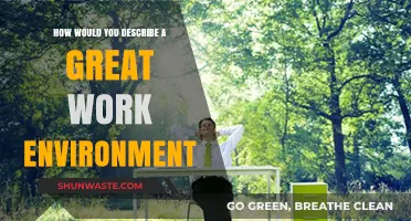 Cultivating Success: Key Elements of a Great Work Environment