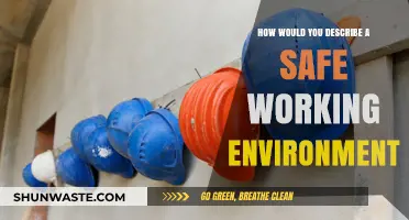 Creating a Secure Workplace: Defining a Safe Working Environment