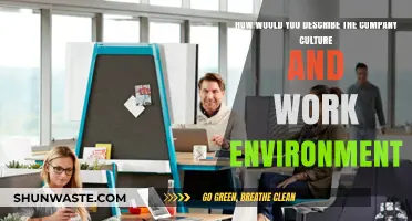 Exploring Our Vibrant Company Culture and Collaborative Work Environment