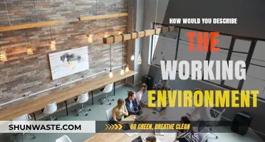 Exploring the Dynamics of a Productive and Collaborative Workplace Environment
