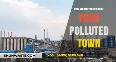 A Town's Toxic Transformation: My Polluted Home
