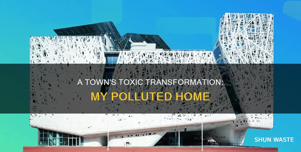 how would you describe your polluted town