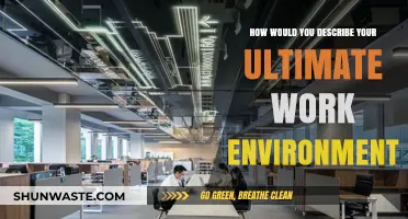 Crafting the Ideal Workspace: My Ultimate Work Environment Vision