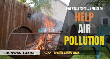 Simple Ways to Help Fight Air Pollution