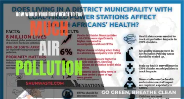 Air Pollution's Harmful Effects on Human Health