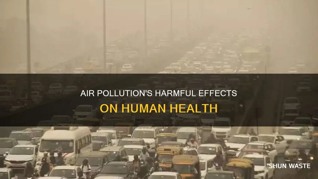 how would your body react to too much air pollution