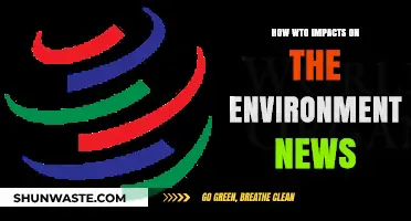 WTO Policies: Environmental Impacts and Global Trade News Analysis
