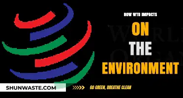 WTO's Environmental Impact: Trade Policies and Global Sustainability Challenges
