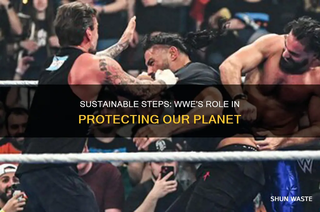 how wwe can work to improve the environment