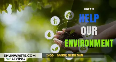 Sustainable Steps: Simple Ways to Protect and Preserve Our Environment