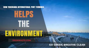 Yokohama Port's Eco-Friendly Innovations: A Green Terminal Revolution