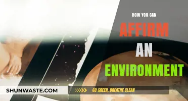 Creating Positive Spaces: Simple Ways to Affirm Your Environment