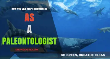 Paleontologists' Role in Environmental Conservation: Practical Steps to Make a Difference