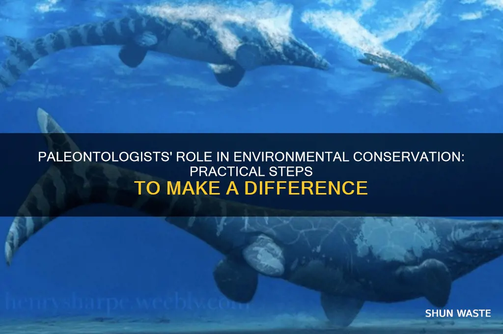 how you can help environment as a paleontologist
