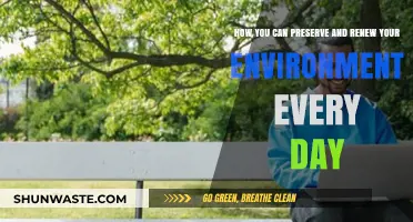 Daily Eco-Friendly Habits: Preserving and Renewing Our Environment Effortlessly