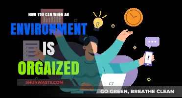 Organized Environments: Strategies to Win in Structured Spaces
