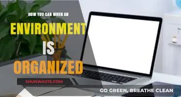 Organize Your Environment: Strategies for Efficiency and Productivity