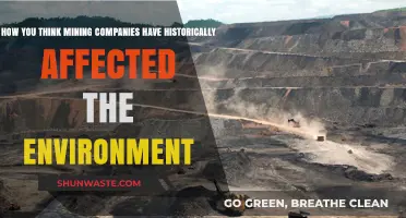 Mining's Environmental Legacy: Impacts, Destruction, and Lasting Consequences