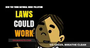 Reducing Noise Pollution: Federal Laws for a Quieter Future