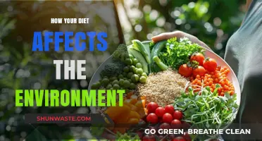 Sustainable Eating: How Your Diet Impacts the Planet's Health