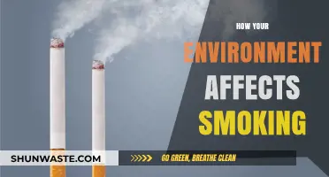 Surroundings and Smoke: How Your Environment Influences Smoking Habits