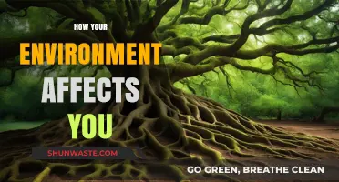 Surroundings Shape Success: How Your Environment Influences Your Life