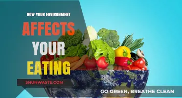 Surroundings Shape Appetite: How Your Environment Influences Eating Habits