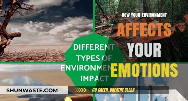 Surroundings Shape Feelings: How Your Environment Influences Emotional Well-Being